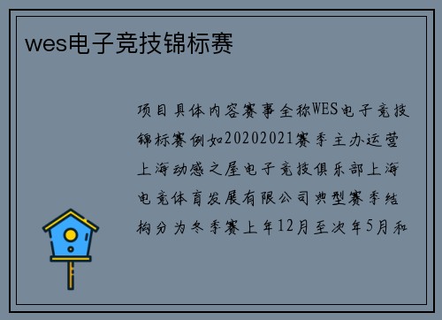 wes电子竞技锦标赛